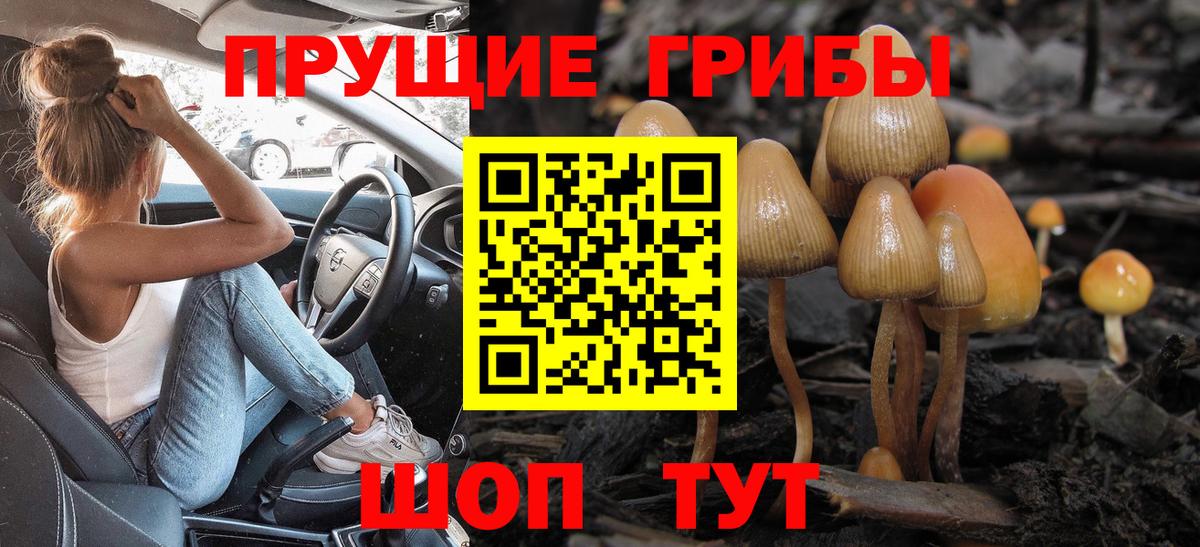 Каменск-Уральский  Галлюциногенные грибы прущие грибы  Вход с VPN 