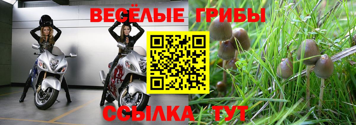Псилоцибиновые грибы Psilocybine cubensis Каменск-Уральский